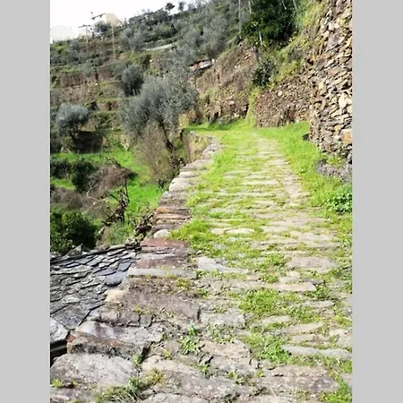 Дом отдыха Casa Do Avo Alvaro - Refugio Do Rei