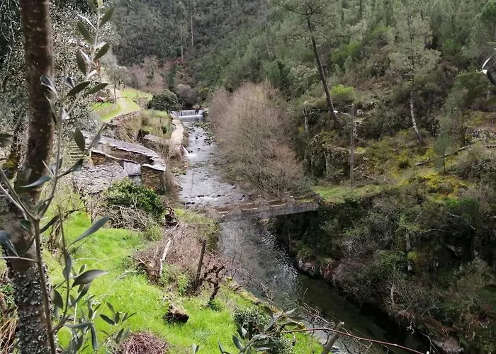 Hébergement de vacances Casa Do Avô Alváro - Refugio Do Rei Casal do Rei (Seia)